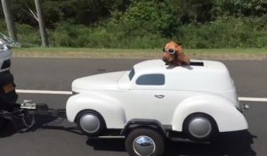 Un chien qui a du swag : Il roule dans sa propre voiture tractée par la moto de son maitre !