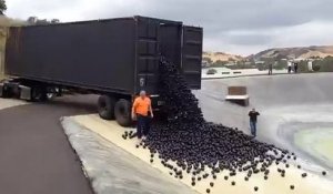 Shade Balls : Un camion largue des milliers de balles noires dans un réservoir d’eau