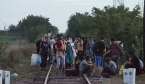 Plusieurs milliers de migrants passent la frontière hongroise