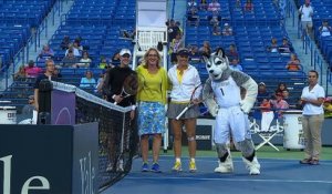 New Haven - Wozniacki et Safarova très solides