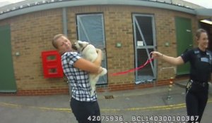 Un chien volé explose de joie en retrouvant sa maîtresse