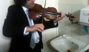 Un violoniste joue avec le bruit d'un robinet grippé... Magique!