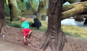 Un petit garçon et un gorille jouent à cache-cache dans un zoo