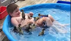 Il se baigne entouré de bébés canards !