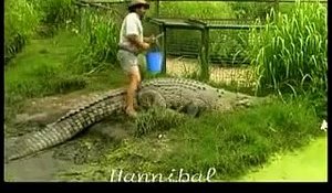 Rob Bredl 65 ans fait une incroyable démonstration avec son énorme crocodile de 800 Kg