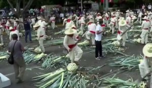 Record du monde du plus grand rassemblement de producteurs traditionnels de tequila