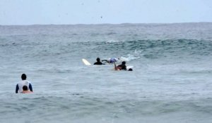 Australie : les dauphins s'invitent dans les vagues lors d'une session mémorable !