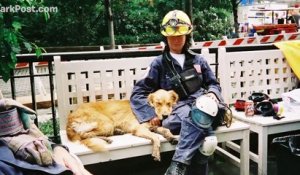 Le dernier chien de sauvetage du 11 septembre en vie fête son 16ème anniversaire