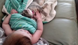 Un bébé et un chaton se réveillent de la sieste