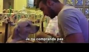 Ce chien essaye de se faire pardonner d'une manière trop mignonne !