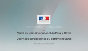 Journées européennes du patrimoine 2015, visite du Palais-Royal