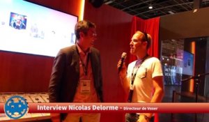 Reportage - Let's Sing 2016 (Interview Nicolas Delorme - Voxler)