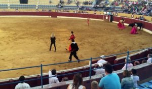Une activiste de PETA saute dans l’arène pendant une corrida.