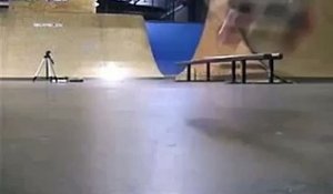 Un chien se la joue skateur professionnel