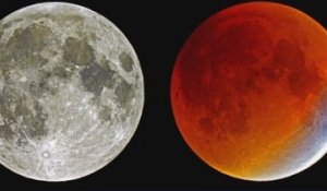 La Lune de sang, en 42 secondes