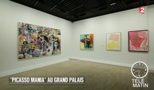 Expo - La Picasso mania au Grand Palais - 2015/10/07