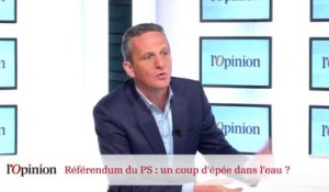 Référendum du PS : un coup d'épée dans l'eau ?