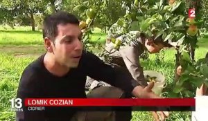 Le marché du cidre se porte bien