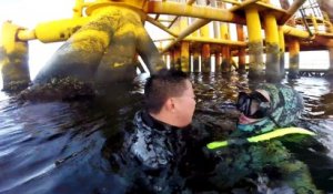 Un plongeur sauve son ami en plein black out pendant une partie de peche au tuba