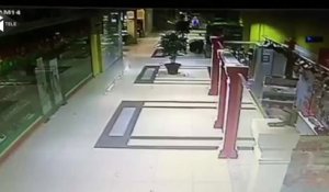 Un ours déambule dans un centre commercial russe
