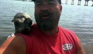 Cet homme a un nouveau copain : une loutre de mer trop mignonne