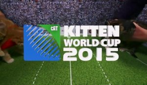 La Coupe du monde des chatons !