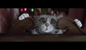 Publicité Sainsbury's : L'histoire de Mog le chat maladroit