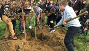 Les élèves plantent un arbre pour la COP 21