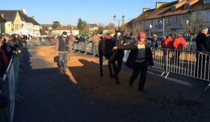 La foire aux poulains