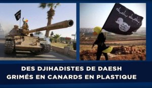 Des djihadistes de Daesh grimés en canards en plastique