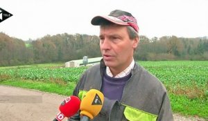Deux nouveaux cas de grippe aviaire en Dordogne
