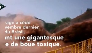 Coulée de boue toxique au Brésil: une catastrophe écologique sans précédent