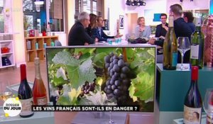 Dossier du Jour : Les vins français sont-ils en danger?