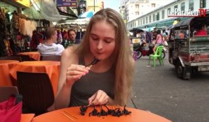 Thaïlande : elle mange 10 scorpions d'affilée