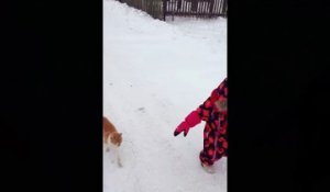 Un chat fait du catch avec une petite fille