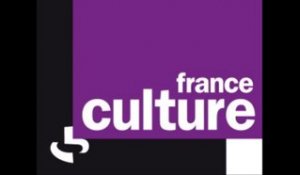 Passage média - France culture - Plan emploi - J.thouvenel