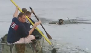 Ils sauvent un chien piégé dans l'eau glacée d'un lac