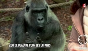 Faune - Zoo de Beauval pour les enfants - 2015/12/28