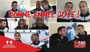 Les voeux pour l'année 2016