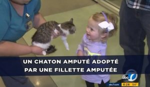Un chaton amputé adopté par une fille de deux ans amputée d'un bras