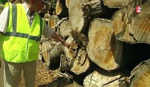 Energie renouvelable : le chauffage au bois revient à la mode