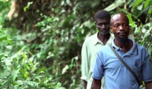 En RDC, le combat des villageois de Bayéria pour la sauvegarde de leur forêt