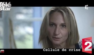 Cellule de crise - Le témoignage émouvant de Ingrid Brinsolaro, la femme du garde du corps de Charb - Dimanche 3 janvier 2016