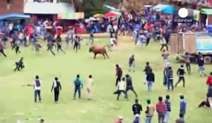 Pérou : un lâcher de taureaux fait 8 blessés