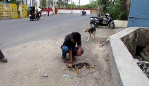 Un chiot mourant remue la queue pour tenter d'alerter les sauveteurs