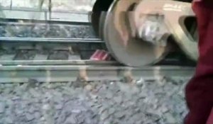 Un train passe au-dessus d'une femme tombée sur la voie ferrée