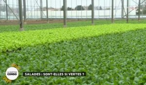 Salades : sont-elles vraiment vertes ?