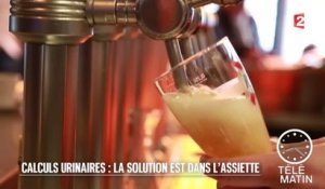 Santé - Calculs urinaires : la solution est dans l'assiette - 2016/01/18