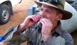 Technique australienne pour arracher des dents