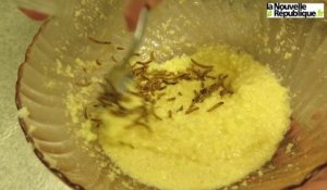 VIDEO. Insolite : des lycéens niortais cuisinent des cookies aux insectes